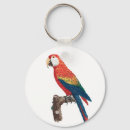 Search for rainbow bird key rings Parrot
