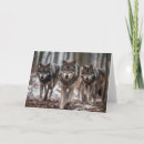 Search for wolf packs cards Nature