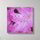 Search for rhododendrons art Flowers
