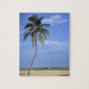 Search for florida beach puzzles Usa