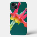 Search for archer ipad cases Washington state