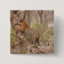 Search for bengals badges Ranthambhor np