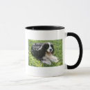 Search for english springer spaniel dog mugs Black and white