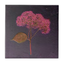 Search for hydrangea tiles Pink