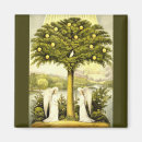 Search for angel magnets Renaissance