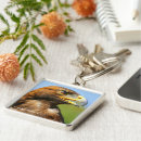Search for raptor key rings Bird of prey