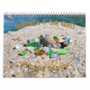 Search for seashell gifts Shells