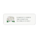 Search for white rose return address labels Watercolor
