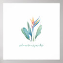 Search for orange and teal art Botanical