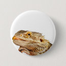 Search for bearded dragon badges Pet