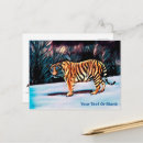 Search for siberian postcards Animals