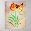 Search for spring bulbs posters Red