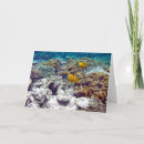 Search for barrier cards Coral