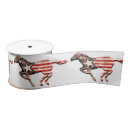 Search for red white and blue stripes ribbon Old glory