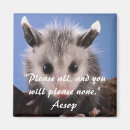 Search for opossum magnets Adorable