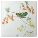 Search for hummingbird tiles Botanical