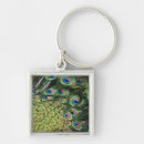 Search for tail feather key rings Green