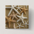 Search for sand badges Shore