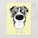 Search for aussies postcards Pets