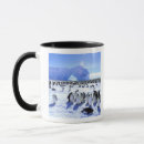 Search for antarctic mugs Pete oxford