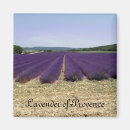Search for lavender magnets France