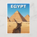Search for sphinx cat Pyramids