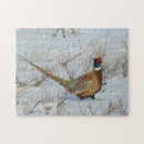 Search for pheasant puzzles Ring necked pheasant
