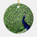 Search for peacock feather christmas tree decorations Feathers