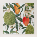 Search for mango puzzles Abstract