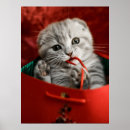Search for christmas kitten art Cat