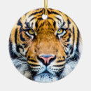 Search for close christmas tree decorations Face