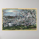 Search for view with trees posters Collection