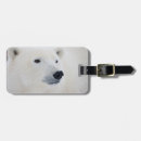 Search for polar bear luggage tags Churchill