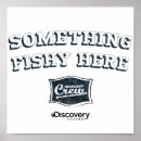 Search for fishies posters Fishy