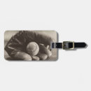 Search for nostalgia travel accessories Entertainment