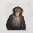 Search for camera vertical postcards Wildlife
