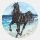 Search for stallion stickers Black