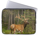 Search for elks electronics Antlers