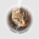 Search for side pet supplies Keepsake
