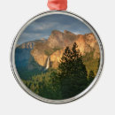 Search for rocky mountaineer christmas tree decorations California
