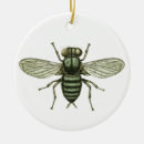 Search for disgusting home living Insect