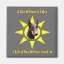 Search for rust magnets Pinscher
