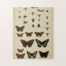 Search for insect puzzles Cream