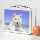 Search for puppy lunch boxes Puppies