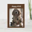 Search for cocker spaniel birthday cards Veterinarian