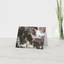 Search for java cards Mocha