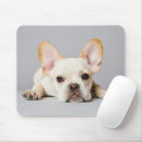 Search for lying down mouse mats Pet