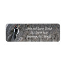 Search for woodpecker return address labels Birds