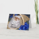 Search for turkish van cards Funny