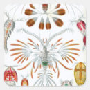 Search for vintage ocean stickers Marine life
